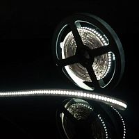 Светодиодная лента 12В Standart SW-Group SMD 3014 24Вт/м 240шт/м 2000Лм/м 6500К IP33 5м картинка 